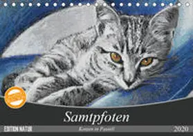 Felix | Samtpfoten - Katzen in Pastell (Tischkalender 2020 DIN A5 quer) | Sonstiges | 978-3-670-66412-3 | www.sack.de
