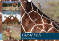 Herzog |  Giraffen - Sanftheit und Anmut (Wandkalender 2020 DIN A4 quer) | Sonstiges |  Sack Fachmedien