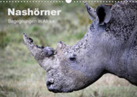 Herzog | Nashörner - Begegnungen in Afrika (Wandkalender 2020 DIN A3 quer) | Sonstiges | 978-3-670-66680-6 | sack.de