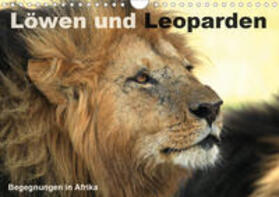 Herzog | Löwen und Leoparden - Begegnungen in Afrika (Wandkalender 2020 DIN A4 quer) | Sonstiges | 978-3-670-66734-6 | sack.de