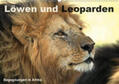 Herzog |  Löwen und Leoparden - Begegnungen in Afrika (Wandkalender 2020 DIN A2 quer) | Sonstiges |  Sack Fachmedien