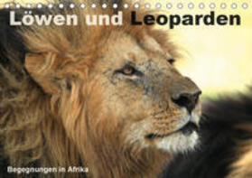 Herzog | Löwen und Leoparden - Begegnungen in Afrika (Tischkalender 2020 DIN A5 quer) | Sonstiges | 978-3-670-66737-7 | sack.de