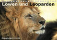 Herzog |  Löwen und Leoparden - Begegnungen in Afrika (Tischkalender 2020 DIN A5 quer) | Sonstiges |  Sack Fachmedien