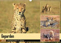 Herzog |  Geparden - Begegnungen in Afrika (Wandkalender 2020 DIN A3 quer) | Sonstiges |  Sack Fachmedien