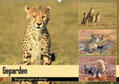 Herzog |  Geparden - Begegnungen in Afrika (Wandkalender 2020 DIN A2 quer) | Sonstiges |  Sack Fachmedien