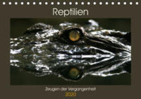 Herzog | Reptilien - Zeugen der Vergangenheit (Tischkalender 2020 DIN A5 quer) | Sonstiges | 978-3-670-66748-3 | sack.de