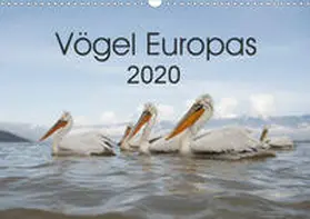 Schröder |  Vögel Europas 2020 (Wandkalender 2020 DIN A3 quer) | Sonstiges |  Sack Fachmedien