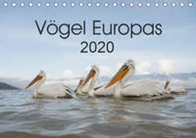 Schröder |  Vögel Europas 2020 (Tischkalender 2020 DIN A5 quer) | Sonstiges |  Sack Fachmedien