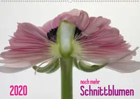 Weber-Gebert |  2020 - noch mehr SCHNITTBLUMEN (Wandkalender 2020 DIN A2 quer) | Sonstiges |  Sack Fachmedien