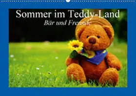 Stanzer | Sommer im Teddy-Land. Bär und Freunde (Wandkalender 2020 DIN A2 quer) | Sonstiges | 978-3-670-67202-9 | www.sack.de