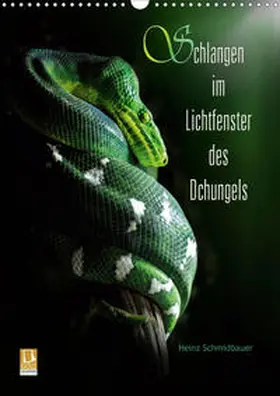 Schmidbauer |  Schlangen im Lichtfenster des Dschungels (Wandkalender 2020 DIN A3 hoch) | Sonstiges |  Sack Fachmedien