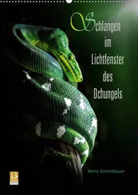 Schmidbauer |  Schlangen im Lichtfenster des Dschungels (Wandkalender 2020 DIN A2 hoch) | Sonstiges |  Sack Fachmedien