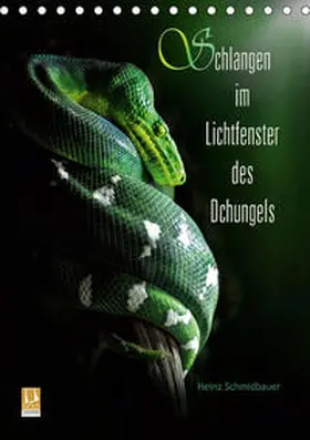 Schmidbauer |  Schlangen im Lichtfenster des Dschungels (Tischkalender 2020 DIN A5 hoch) | Sonstiges |  Sack Fachmedien