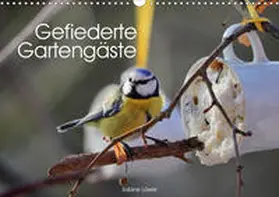 Löwer |  Gefiederte Gartengäste (Wandkalender 2020 DIN A3 quer) | Sonstiges |  Sack Fachmedien