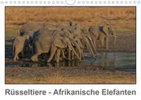 Wolf |  Rüsseltiere - Afrikanische Elefanten (Wandkalender 2020 DIN A4 quer) | Sonstiges |  Sack Fachmedien
