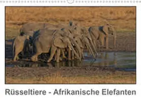 Wolf | Rüsseltiere - Afrikanische Elefanten (Wandkalender 2020 DIN A3 quer) | Sonstiges | 978-3-670-68012-3 | www.sack.de