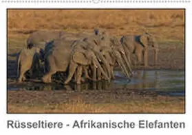 Wolf |  Rüsseltiere - Afrikanische Elefanten (Wandkalender 2020 DIN A2 quer) | Sonstiges |  Sack Fachmedien