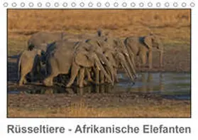 Wolf | Rüsseltiere - Afrikanische Elefanten (Tischkalender 2020 DIN A5 quer) | Sonstiges | 978-3-670-68014-7 | www.sack.de