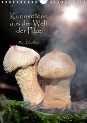 Schmidbauer |  Kuriositäten aus der Welt der Pilze (Wandkalender 2020 DIN A4 hoch) | Sonstiges |  Sack Fachmedien