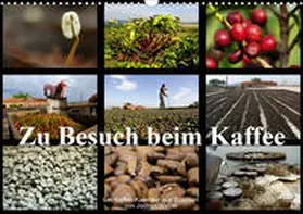 Weber |  Zu Besuch beim Kaffee (Wandkalender 2020 DIN A3 quer) | Sonstiges |  Sack Fachmedien