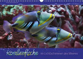 Schmidbauer |  Korallenfische im Lichtschimmer des Meeres (Wandkalender 2020 DIN A3 quer) | Sonstiges |  Sack Fachmedien