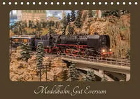 Radtke | Modellbahn Gut Eversum (Tischkalender 2020 DIN A5 quer) | Sonstiges | 978-3-670-69015-3 | www.sack.de