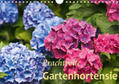 Keller |  Prachtvolle Gartenhortensie (Wandkalender 2020 DIN A4 quer) | Sonstiges |  Sack Fachmedien