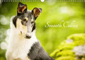Längsfeld |  Smooth Collies (Wandkalender 2020 DIN A3 quer) | Sonstiges |  Sack Fachmedien