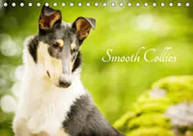Längsfeld |  Smooth Collies (Tischkalender 2020 DIN A5 quer) | Sonstiges |  Sack Fachmedien