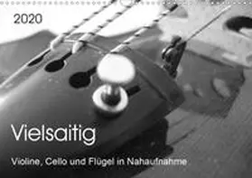 Ziegler |  Vielsaitig - Violine, Cello und Flügel in Nahaufnahme (Wandkalender 2020 DIN A3 quer) | Sonstiges |  Sack Fachmedien