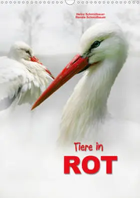 Schmidbauer |  Tiere in ROT (Wandkalender 2020 DIN A3 hoch) | Sonstiges |  Sack Fachmedien