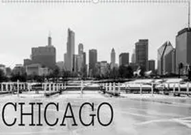 Stein |  Icy Chicago (Wandkalender 2020 DIN A2 quer) | Sonstiges |  Sack Fachmedien