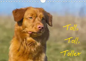 Starick |  Toll, toll, Toller (Wandkalender 2020 DIN A4 quer) | Sonstiges |  Sack Fachmedien