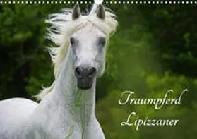 Starick |  Traumpferd Lipizzaner (Wandkalender 2020 DIN A3 quer) | Sonstiges |  Sack Fachmedien