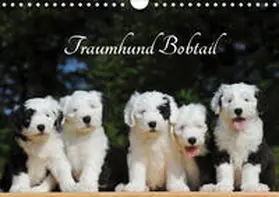 Starick |  Traumhund Bobtail (Wandkalender 2020 DIN A4 quer) | Sonstiges |  Sack Fachmedien