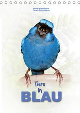 Schmidbauer |  Tiere in Blau (Tischkalender 2020 DIN A5 hoch) | Sonstiges |  Sack Fachmedien