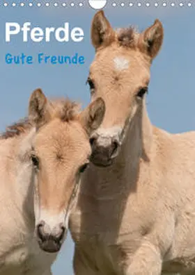 Bölts |  Pferde Gute Freunde (Wandkalender 2020 DIN A4 hoch) | Sonstiges |  Sack Fachmedien