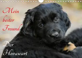 Starick |  Mein bester Freund - Der Hovawart (Wandkalender 2020 DIN A4 quer) | Sonstiges |  Sack Fachmedien