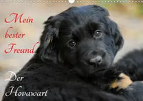 Starick |  Mein bester Freund - Der Hovawart (Wandkalender 2020 DIN A3 quer) | Sonstiges |  Sack Fachmedien