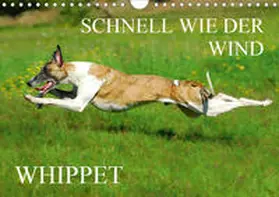 Starick |  Schnell wie der Wind - Whippet (Wandkalender 2020 DIN A4 quer) | Sonstiges |  Sack Fachmedien