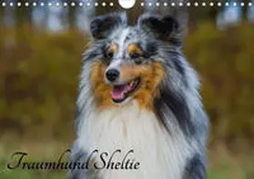 Starick |  Traumhund Sheltie (Wandkalender 2020 DIN A4 quer) | Sonstiges |  Sack Fachmedien