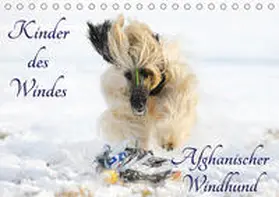 Starick |  Kinder des Windes - Afghanischer Windhund (Tischkalender 2020 DIN A5 quer) | Sonstiges |  Sack Fachmedien