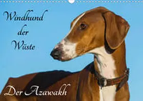 Starick |  Windhund der Wüste - Der Azawakh (Wandkalender 2020 DIN A3 quer) | Sonstiges |  Sack Fachmedien