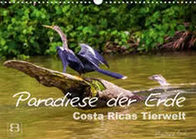 Busch |  Paradiese der Erde: Costa Ricas Tierwelt (Wandkalender 2020 DIN A3 quer) | Sonstiges |  Sack Fachmedien
