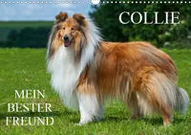Starick |  Collie - Mein bester Freund (Wandkalender 2020 DIN A3 quer) | Sonstiges |  Sack Fachmedien