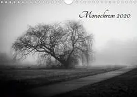 Pfeiffer |  Monochrom 2020 (Wandkalender 2020 DIN A4 quer) | Sonstiges |  Sack Fachmedien