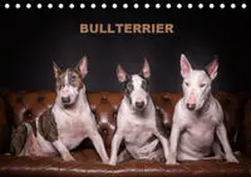 Schubert |  Bullterrier (Tischkalender 2020 DIN A5 quer) | Sonstiges |  Sack Fachmedien