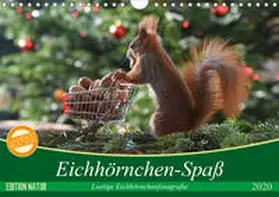 Adam |  Eichhörnchen-Spaß (Wandkalender 2020 DIN A4 quer) | Sonstiges |  Sack Fachmedien