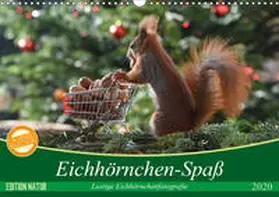 Adam |  Eichhörnchen-Spaß (Wandkalender 2020 DIN A3 quer) | Sonstiges |  Sack Fachmedien