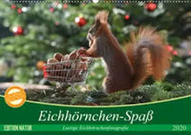 Adam | Eichhörnchen-Spaß (Wandkalender 2020 DIN A2 quer) | Sonstiges | 978-3-670-71594-8 | www.sack.de